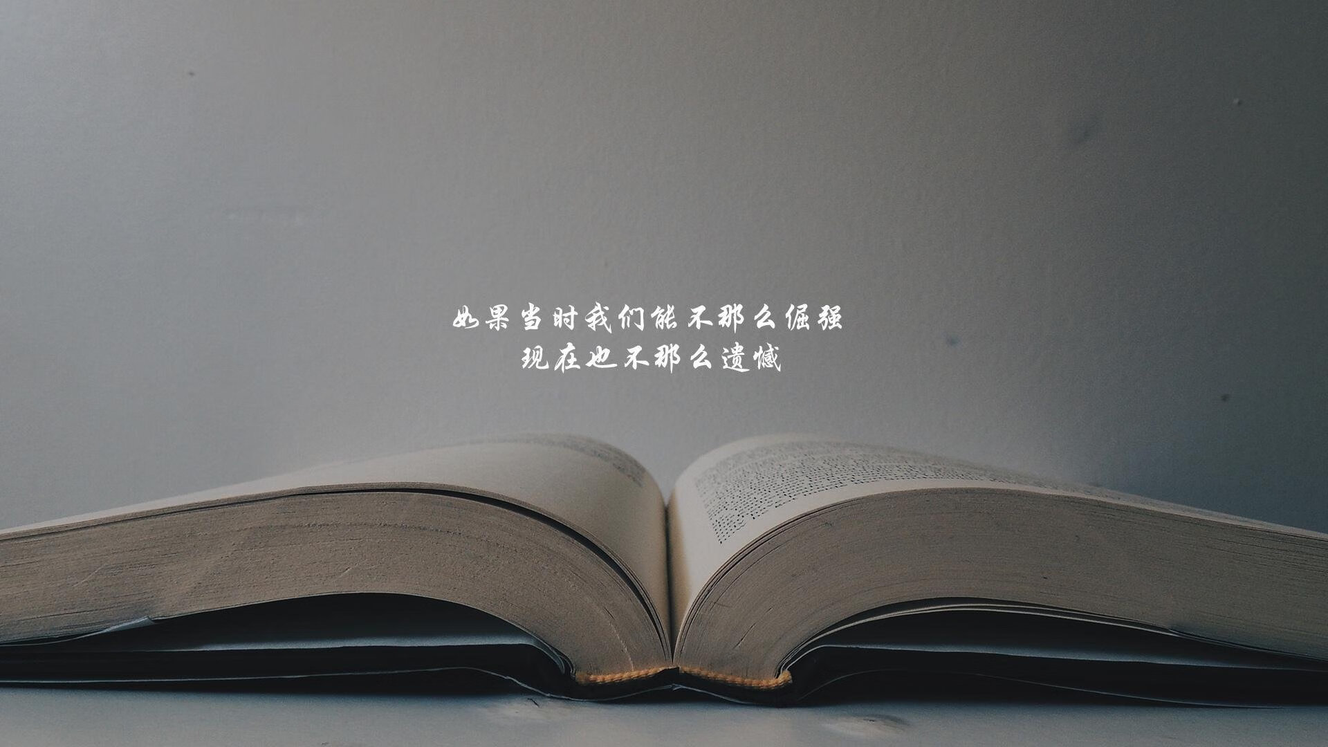 摩洛哥马术协会举办马匹护理培训班，提高骑手护理技能。，摩洛哥赛马节