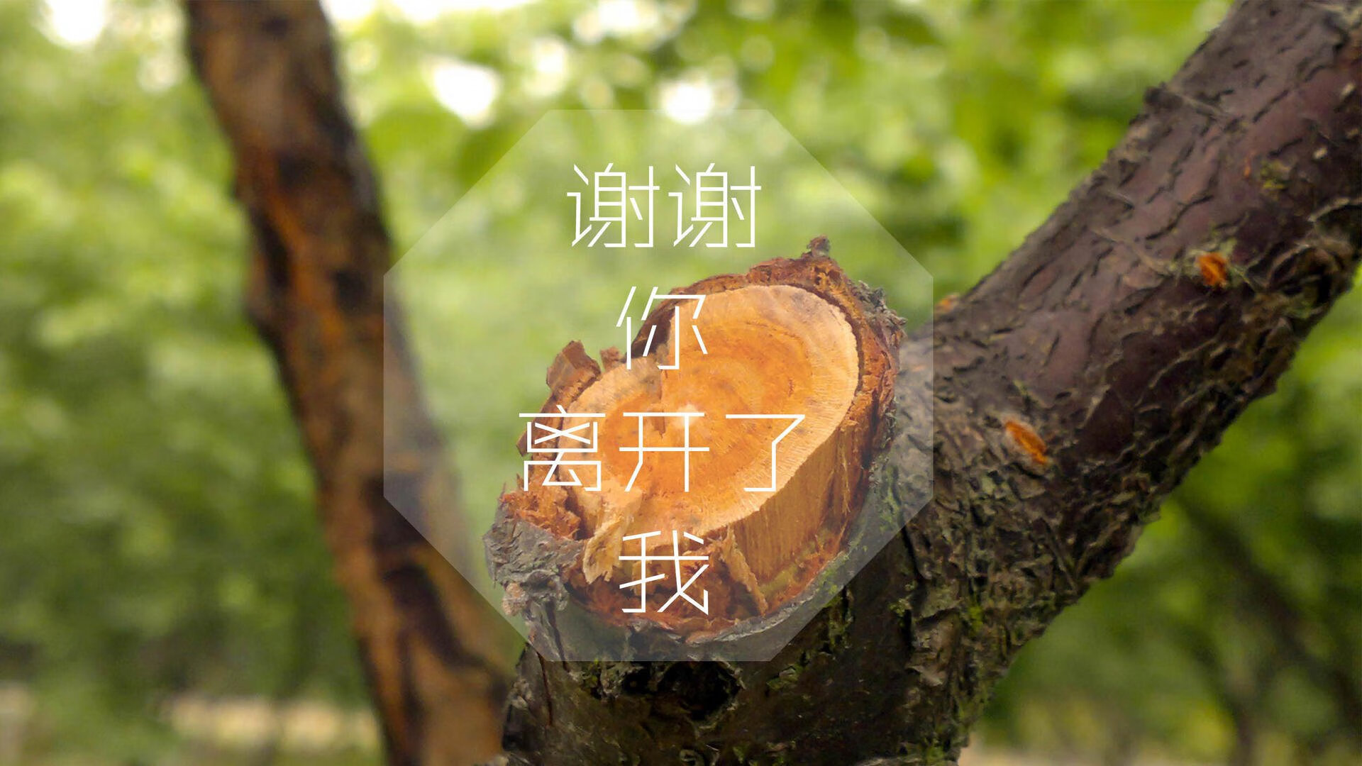 2025世俱杯赛程表-巴黎球星受伤离场，或缺重要比赛，巴黎明星球员