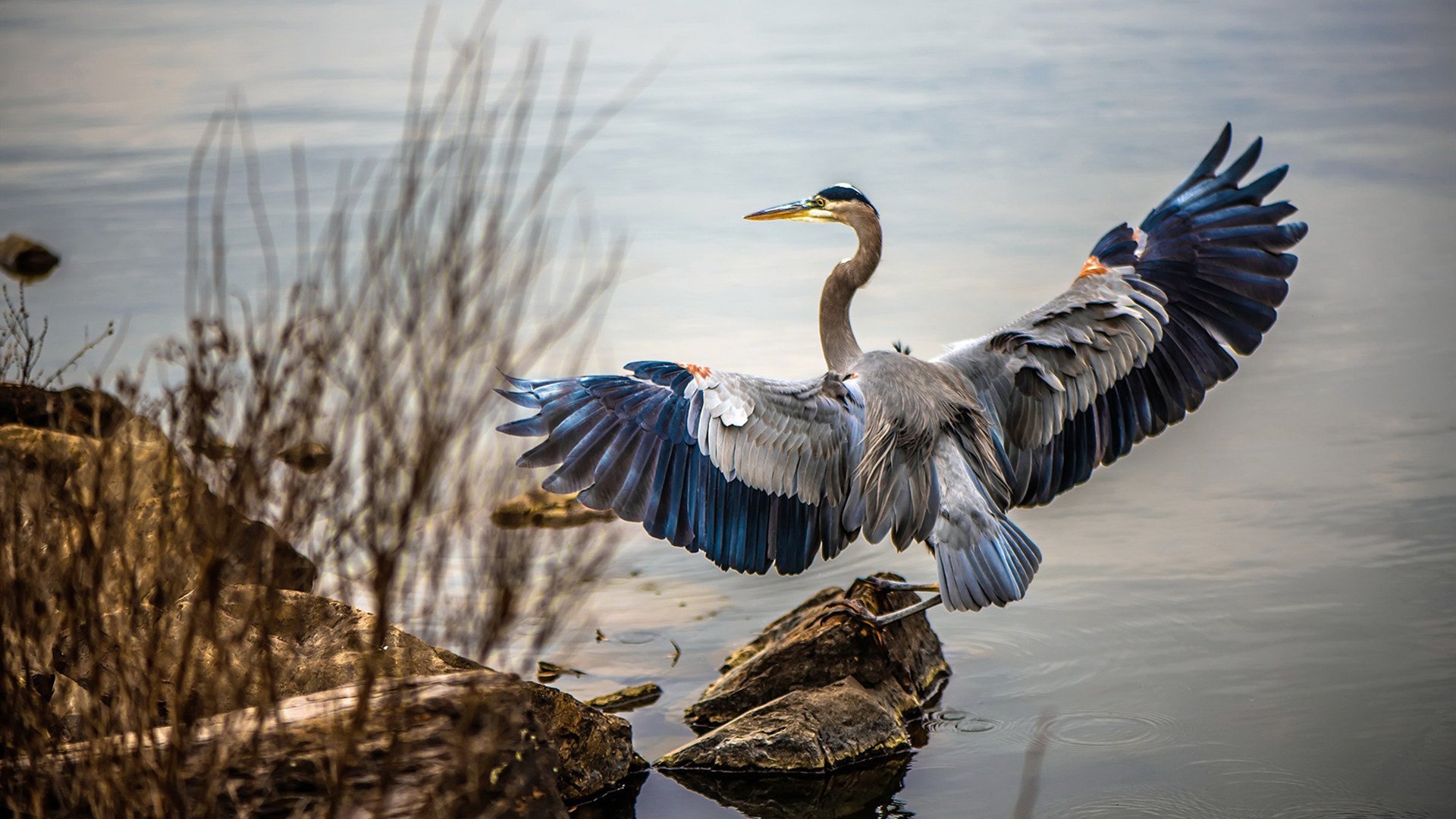 马拉松赛事视觉识别系统实现自动计时,马拉松视觉设计